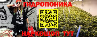 apvp Гагарин