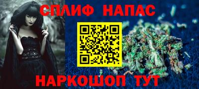 дмт Гатчина