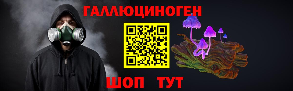Галлюциногенные грибы Cubensis Барабинск
